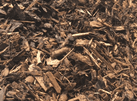 Tips On The Perfect Use Of Forest Bark In Your Garden