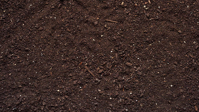 What Are The Benefits And Uses Of Good Quality Topsoil?