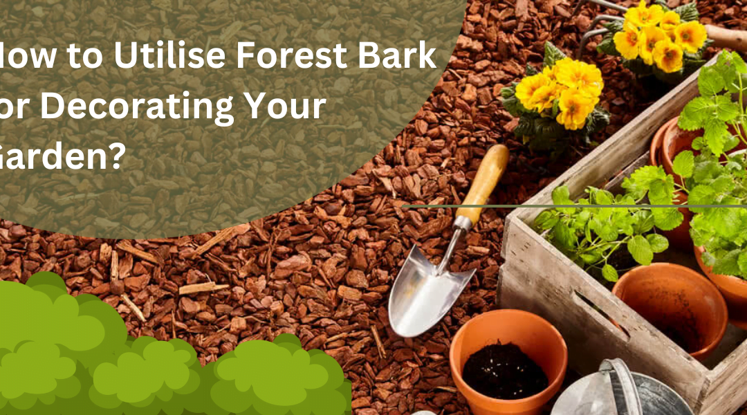 How to Utilise Forest Bark for Decorating Your Garden?