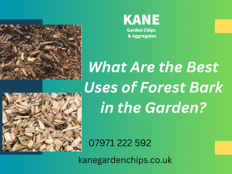 What Are the Best Uses of Forest Bark in the Garden?