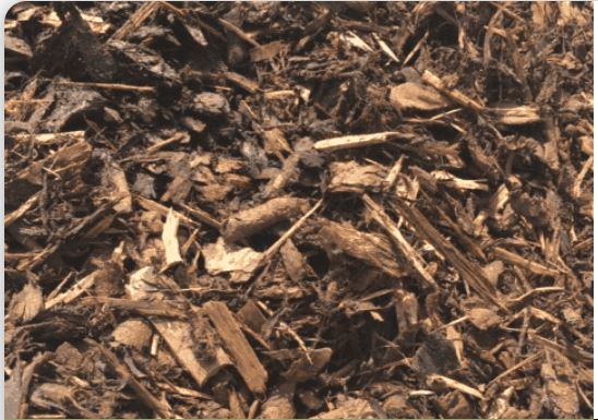 What Makes Quality Topsoil in Glasgow for Gardening?